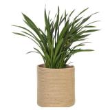 MEGASKET Woven Jute Plant Basket, Wicker Basket Planter for 10 inch Pot, Round Indoor Tree Pot Cover, Small Boho Storage Bin Organizer, Rustic Baskets for Plants and Home Decor, 11X11 - Retail: $16