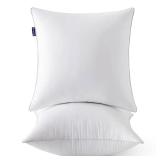 MIULEE 20 x 20 Pillow Inserts (Set of 2) -Throw Pillows for Couch Sofa with 100% Cotton Covers - Retail: $24