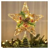 Brizled Christmas Tree Star, 10