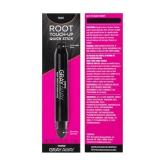 EVERPRO Gray Away Root Touchup Quick Stick, Black, 0.1 Oz