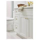 Amerock Edona 1-1/4 in (32 mm) Diameter Golden Champagne Cabinet Knob (Pack of 10)