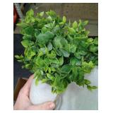 Zheart Fake Eucalyptus Stems in Glass Vase with Faux Water,14 Artificial Plants Eucalyptus Leaves for Shelf Desk Bathroom Farmhouse Room Coffee Table Home Decor (Sage Green)