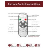 2 Pack 24 Inch Lighted Outdoor Christmas Tree with Dual Color LED Lights, Remote Control Battery Operated Pre-lit Pathway Urn Filler, Christmas Porch Decorations for Home, Porch & Yard