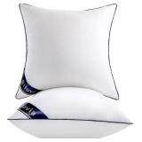 Siluvia 20"x20" Pillow Inserts Set of 2 Decorative Square Square Throw 20 Pillows with 100% Cotton Cover for Sofa, Couch, and Bed - White