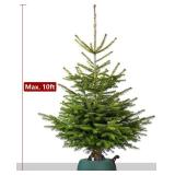 Leejec Christmas Tree Stand with Water Reservoir, Fast Clamped 10 Ft Real Tree with 5.5" Diameter, Water Level Indicator Equipped, No Assembly Required