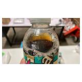 AriZona Iced Tea with Lemon Flavor - 12pk/16 fl oz Bottles