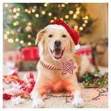 Christmas Dog Collar with Flower, Red Dog Christmas Collar with Buckle Adjustable Cotton Collar for Small Medium Large Dogs Puppy (Red Stripe, Small) - Retail: $12