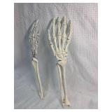 Plastic Hand Skeleton Model