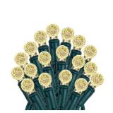 G12 50 Light 25 ft. Warm White Indoor/Outdoor Integrated LED Globe String Light