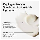 The Ordinary Squalane + Amino Acids Hydrating Lip Balm, for Lips, Elbows, and Cuticles, 0.5 Fl Oz
