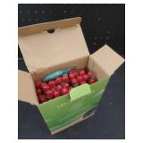 SWEET SHINE 100 Red Raspberry One-Piece LED Christmas Lights, 33 ft Green Cord High Waterproof UL Certified G12 Outdoor String Lights (Red)