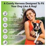 EcoBark Step in Dog Harness - Eco-Friendly Teacup Dog Harnesses for XXS, XS, and Small Dogs - Reflective and Adjustable Mini Body Halter Vest -Tiny Soft Mesh Toy Breed Harness (XXXS, Black)