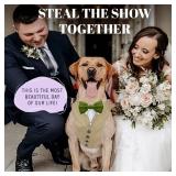 AVERYDAY Dog Tuxedo for Wedding Outfit, Dog Suit and Tie Costumes for Birthday, Halloween, Cosplay, Christmas Party, Pet Formal Wear with Bowtie, Tux for Medium Large Dogs, Bulldog, Labrador, Husky