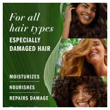 Herbal Essences Argan Oil Repair Shampoo & Conditioner Set, Moisturizes & Smoothes, Paraben-Free, Color-Safe, pH-Balanced, Citrus Scent, 20.2 Fl Oz, 2-Pack
