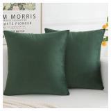 HERAYLI Velvet Decorative Throw Pillow Covers, Soft Square Cushion Case Home Decor for Living Room Couch Bed Sofa, Set of 2 Pack, Dark Green, 20x20 Inch