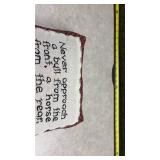 Humorous Wisdom Quote Decorative Pillow Set