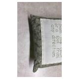 Humorous Wisdom Quote Decorative Pillow Set