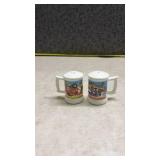 Texas Souvenir Salt and Pepper Shakers Set. (SS)