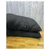 EIUE Bed Pillows for Sleeping 2 Pack Queen Size 20 x 30 Inches Super Soft Down Alternative Microfiber Filled Pillows,Pillows for Side and Back Sleepers,Black