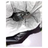 Ozark Trail 10-Person Modified Dome Tent with Screen Porch