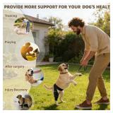 Dog Knee Brace for Torn ACL,Dog ACL Braces with Side Stabilizers,Adjustable Dogs Leg Brace Suitable for 4 Limbs,Dogs Hip Brace for Arthritis Relief, Joint Stability,Reduces Pain and Inflammation