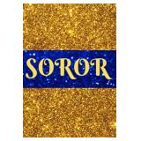 Lot of 4 Blue and Gold Glitter Soror Journal: Sigma Gamma Rho inspired
