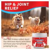 Premium Glucosamine Chewable for Dogs - Hip & Joint Supplement Dog Chews with Chondroitin MSM Omega-3 Support Mobiltiy and Joint Pain Comfort Improve Flexibility, Beef Flavor 100 Soft Treats