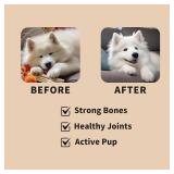 Premium Glucosamine Chewable for Dogs - Hip & Joint Supplement Dog Chews with Chondroitin MSM Omega-3 Support Mobiltiy and Joint Pain Comfort Improve Flexibility, Beef Flavor 100 Soft Treats