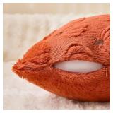 Fall Decorations Pillow Covers 18x18 Set of 2 Rust Thanksgiving Autumn Harvest Pumpkin Decorative Throw Pillow Cases Soft Plush Faux Fur Cushion Covers for Sofa Couch Bed Chair Living Room Fall Decor
