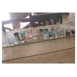 Shot Glass Collection