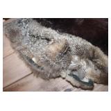 2 Vintage Fur Collars and More