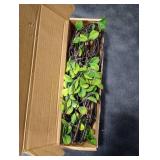 Cherica Artificial Ficus Branches Faux Eucalyptus Stems, 47.2 Inch Fake Greenery Stems Artificial Plants for Vase Filler Decoration, Fake Leaves Branches Centerpieces Decor