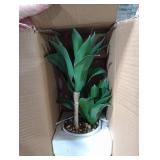 Hollyone Large Artificial Agave Plants Fake Three-Head Agave Succulent Plant Potted 15 Faux Plant in White Pot Succulents Aloe Plant Indoor for Desk Modern Home Decor