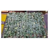 Vigoro36 in. Green Artificial PVC Expandable Trellis 36 in. x 72 in. Chestnut Leaves - Retail: $59