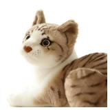 GUDVES Siamese Cat Stuffed Animal, Shorthair Cat Realistic Plush Cat Stuffed Toys, Gift for Kids 12inches (B) - Retail: $18