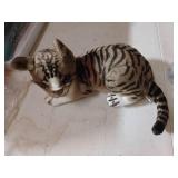 GUDVES Siamese Cat Stuffed Animal, Shorthair Cat Realistic Plush Cat Stuffed Toys, Gift for Kids 12inches (B) - Retail: $18