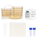 Bacteria Science Kit Petri Dishes with Agar and Swabs | Top Science Fair Project Bacteria Growing Kit | Prepoured LB-Agar Plates and Cotton Swabs | STEM for Kids Aged 6 7 8 9 10 Girls Boys Gifts