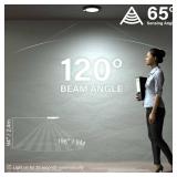 ZAGO LED 6 120 Volts Closet Light Wired, PIR Motion Sensor Ceiling Disc Light for Closet, Laundry, Garage, Pantry, Wet Location, ETL, Black