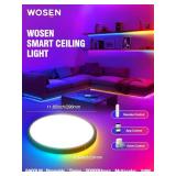 Wosen 12 Inch 2 Pack RGB LED Flush Mount Ceiling Light with Night Light 2700K, 24W 2400LM Ultra-Slim Ceiling Light Fixture with Remote, 16 Million DIY Colors, Compatible with Alexa/Google Assistant