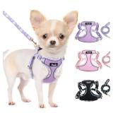 Lukovee No Pull Puppy Harness and Leash Set - Soft Lightweight Escape Proof Puppy Vest Harness, Breathable Adjustable Pet Harness with Dog Leash for Small Dogs (Purple, XXS)
