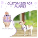 Lukovee No Pull Puppy Harness and Leash Set - Soft Lightweight Escape Proof Puppy Vest Harness, Breathable Adjustable Pet Harness with Dog Leash for Small Dogs (Purple, XXS)