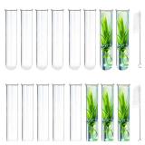 15Pcs Glass Tubes for Plants, Plant Propagation Tube Acrylic Test Tubes for Scientific Experiments 30 ml Plastic Test Tubes for Hydroponic Plants, Home Office Wall Decor (12cm)