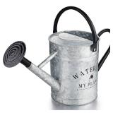 Garutom Galvanized Watering Can for Outdoor Indoor Plants, 1 Gallon Decorative Countryside Style Water Can with Removable Spout, Perfect Metal Watering Can for Indoor Plants and Garden Flower