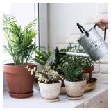 Garutom Galvanized Watering Can for Outdoor Indoor Plants, 1 Gallon Decorative Countryside Style Water Can with Removable Spout, Perfect Metal Watering Can for Indoor Plants and Garden Flower