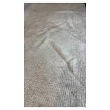 Momeni Hand Woven Woollen Area Rug. 10