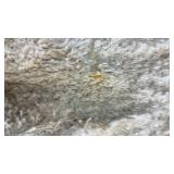 Project 62 Eyelash Shag Cream Area Rug 5