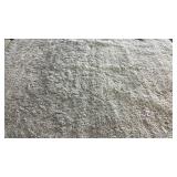 Gray Shag 5