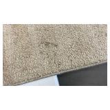 Area Rug, 5