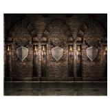 Medieval Castle Backdrop 7x5FT, Brown, Ultra-thin Vinyl, Occasion: Medieval Castle, Includes: 7x5FT one sheet - Retail: $14