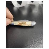 Case XX Bone Handle Pocketknife